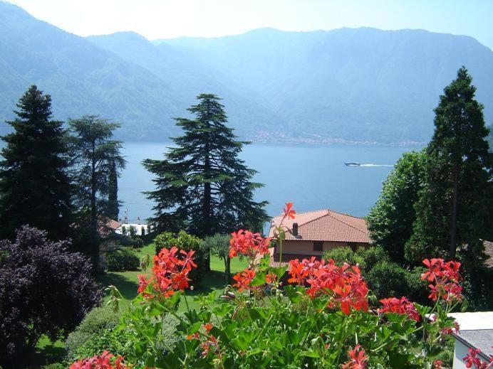 Hotel Lario Mezzegra ภายนอก รูปภาพ